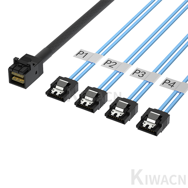0304090012-SAS (8643) Connection Cable